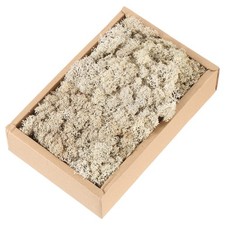 7.8oz Preserved Reindeer Moss, Brown Decorative Artificial Fake Moss