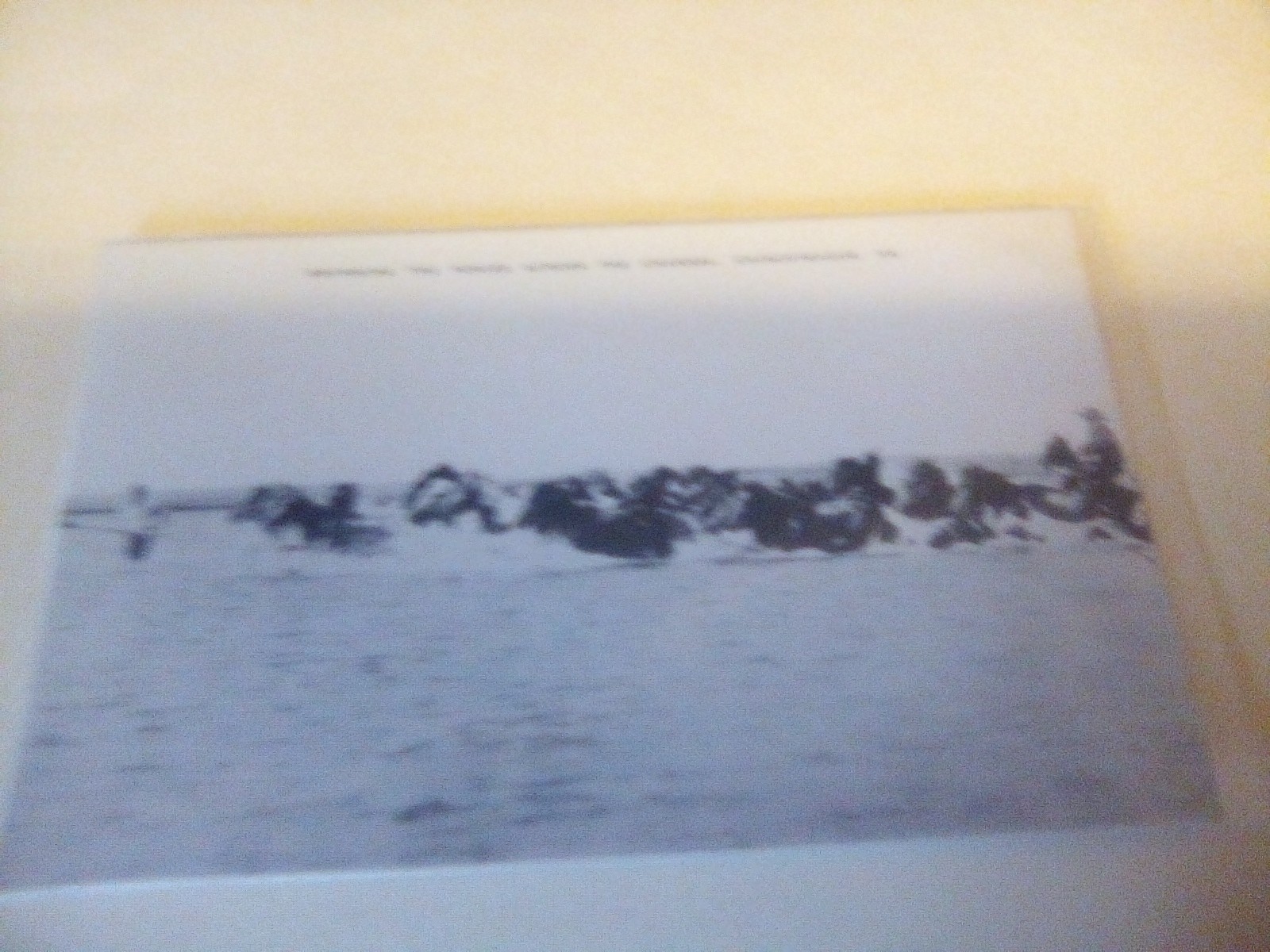 Annual Pony Swim, Chincoteague, Virginia Postcard