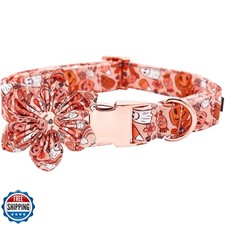 Bobo Rainbow Dog Collar, Halloween Puppy Collar with Flower Pet Collar Girl B