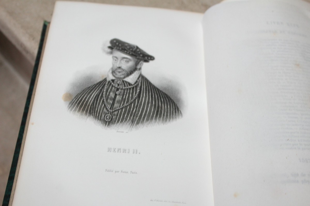 Histoire De France Par Henri Martin - Collection Complète En 17 Volumes - Édition XIXème Siècle - Langue Française