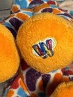 Foto 4 di 7