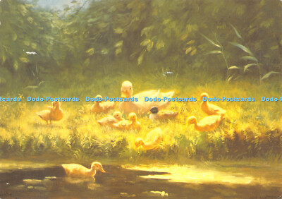 D065021 Woman Weekly. Entenküken am Flussrand. Constant Artz. Bridgeman Art