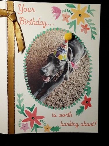 Weimaraner Birthday Greeting Card: Designed by BellaLA /BluzieDoozieDesigns - Picture 5 of 6