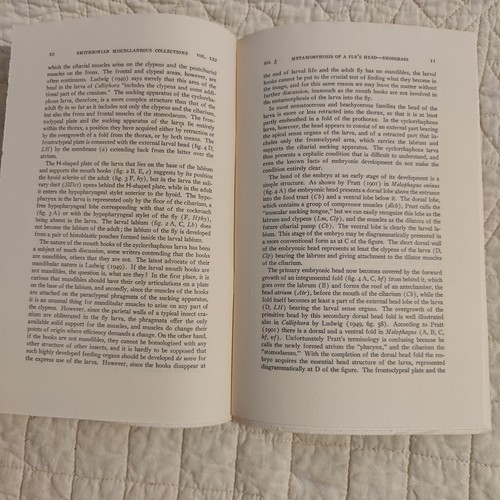 Rare 1953 Fly Metamorphosis Entomology Smithsonian Publication 4133 Volume 122 - 第 16/24 張圖片