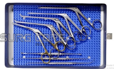 Set of 10 Pcs ENT Surgical Instrument FESS Sinus Endoscopy Instruments
