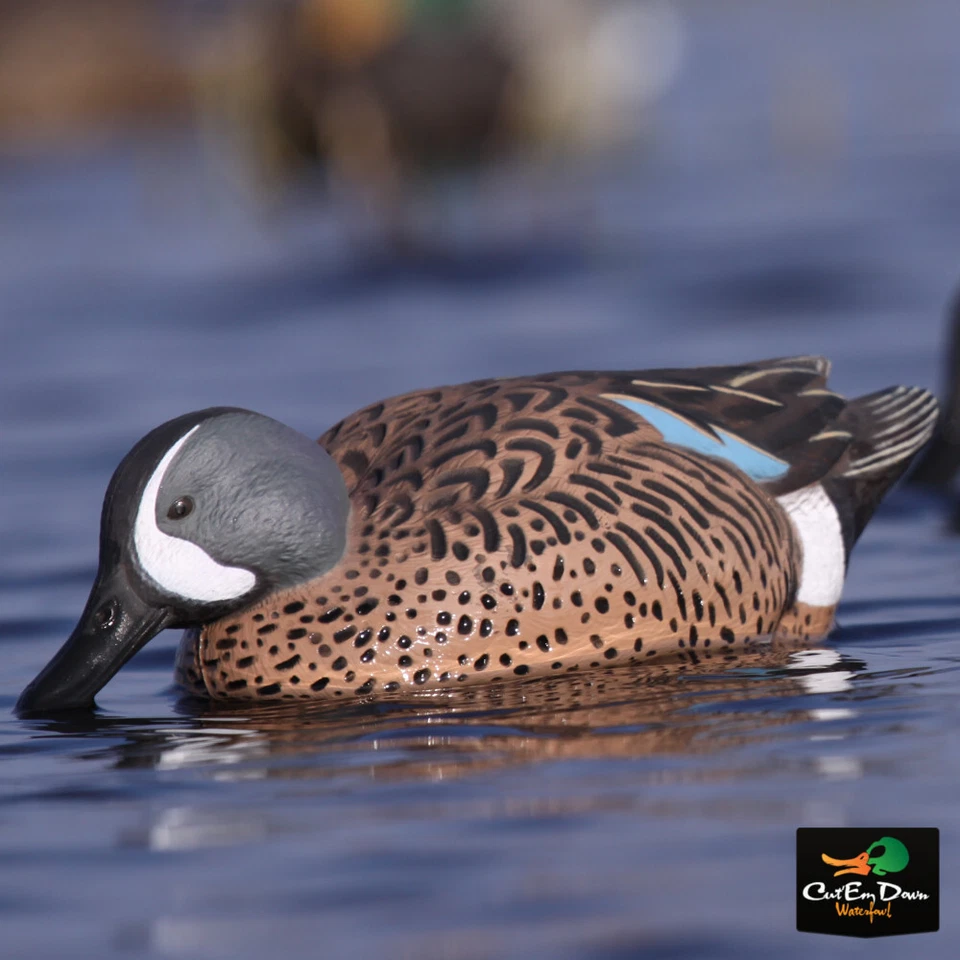 AVERY OUTDOORS GREENHEAD GEAR GHG PRO GRADE BLUE WINGED TEAL DUCK DECOYS - Image 2 of 4
