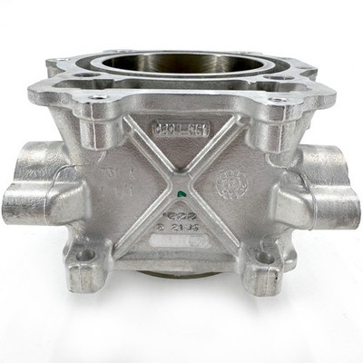 Arctic Cat, CYLINDER ASSEMBLY 0804-061, 13-19 WILDCAT X | eBay Arctic Cat, CYLINDER ASSEMBLY 0804-061, 13-19 WILDCAT X | eBay