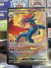 Pokémon TCG Salamence EX Viaggio Insieme Illustrazione Speciale Carta Rara 187/159