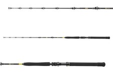 DAIWA BG Big Game, 3 parti, Canna da Pesca da Barca, progressivo