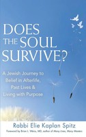 Rabbi Elie Kaplan Spitz | Does The Soul Survive? (2Nd Edition) | Buch | Englisch