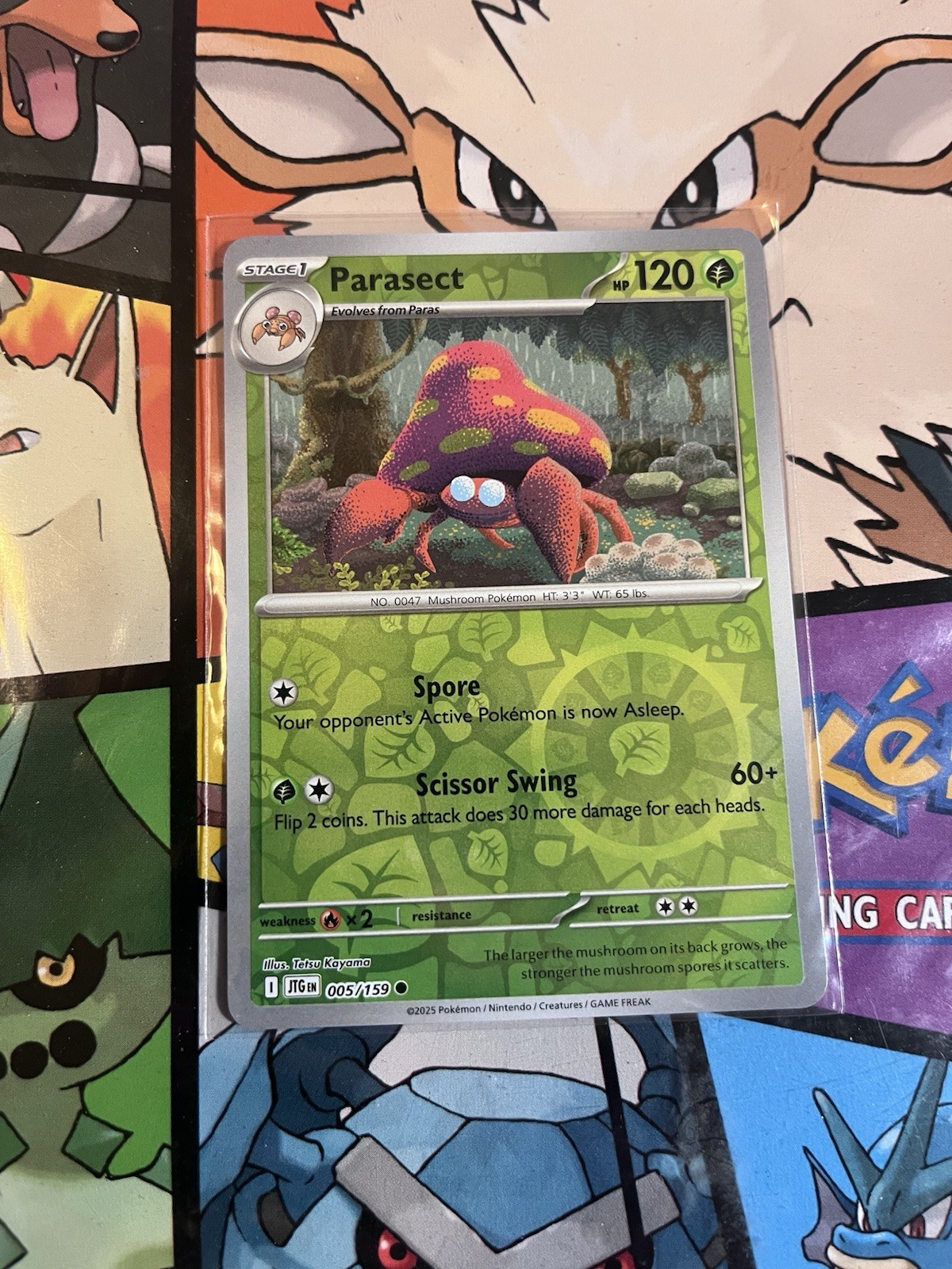 Parasect 005/159 Sv09: Journey Together Reverse Holo NM