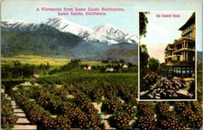 Postcard A Viewpoint Fomr Loma Linda Sanitarium Loma Linda California