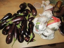 Semences Bio Aubergine Violetta Lungua