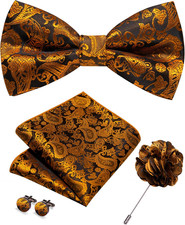 Paisley Pre-tied Bow Tie and Pocket Square Cufflinks Lapel Pin Sets for Men 4PCS