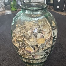 Green Glass Bottle Vase with Seashells Nautical Theme Glossy Finish