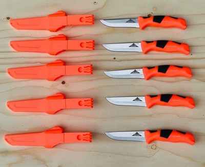 Set 5 x Universalmesser Orange aus 420 Stahl Kieferle (kein Morakniv) 60.009