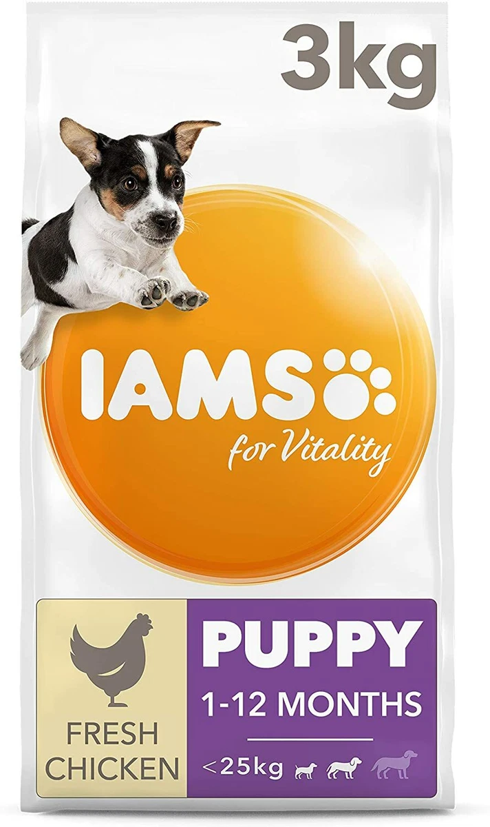 Iams 3kg dog clearance food