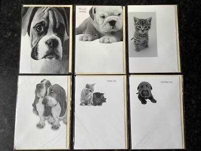 Pups And Kitty s Set 6 Karten (x) Sonderangebot 5,99£