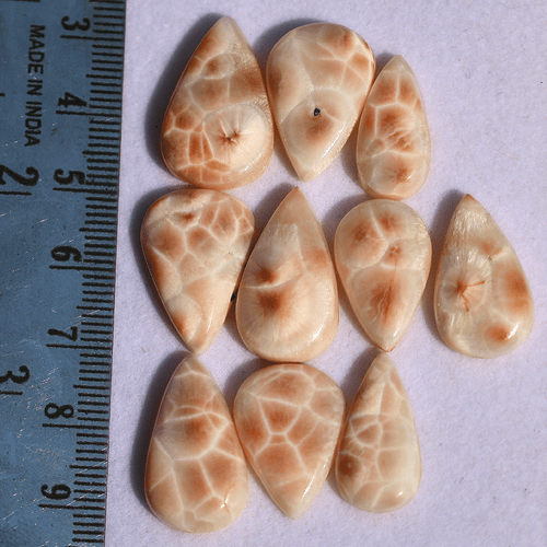 Lot 10 Pcs Natural Thompsonite AAA Quality 18.5mm-22.6mm Pear Cabochon Gemstones - Picture 9 of 13