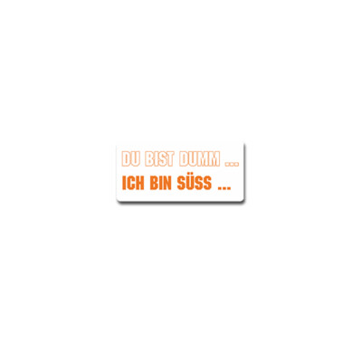 You're stupid sticker I'm cute princess chick kid woman girl 10x5cm #a4141
