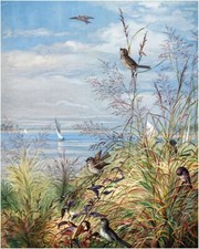 Landscape Birds Sparrow Boat Accent Tile Mural Kitchen Wall Backsplash Ceramic