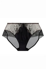 Dita Von Teese Julie's Roses Brief Panties NWT Luxury Semi-Sheer Lingerie D25019