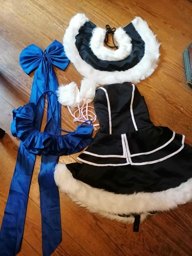 Cosplay Costume - Unknown School Uniform?