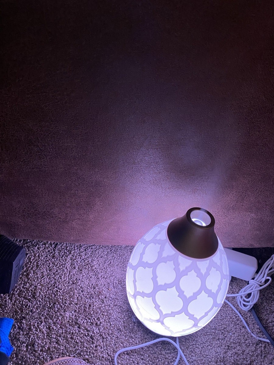 Young Living Essential Oils Desert Mist Color Change Diffuser