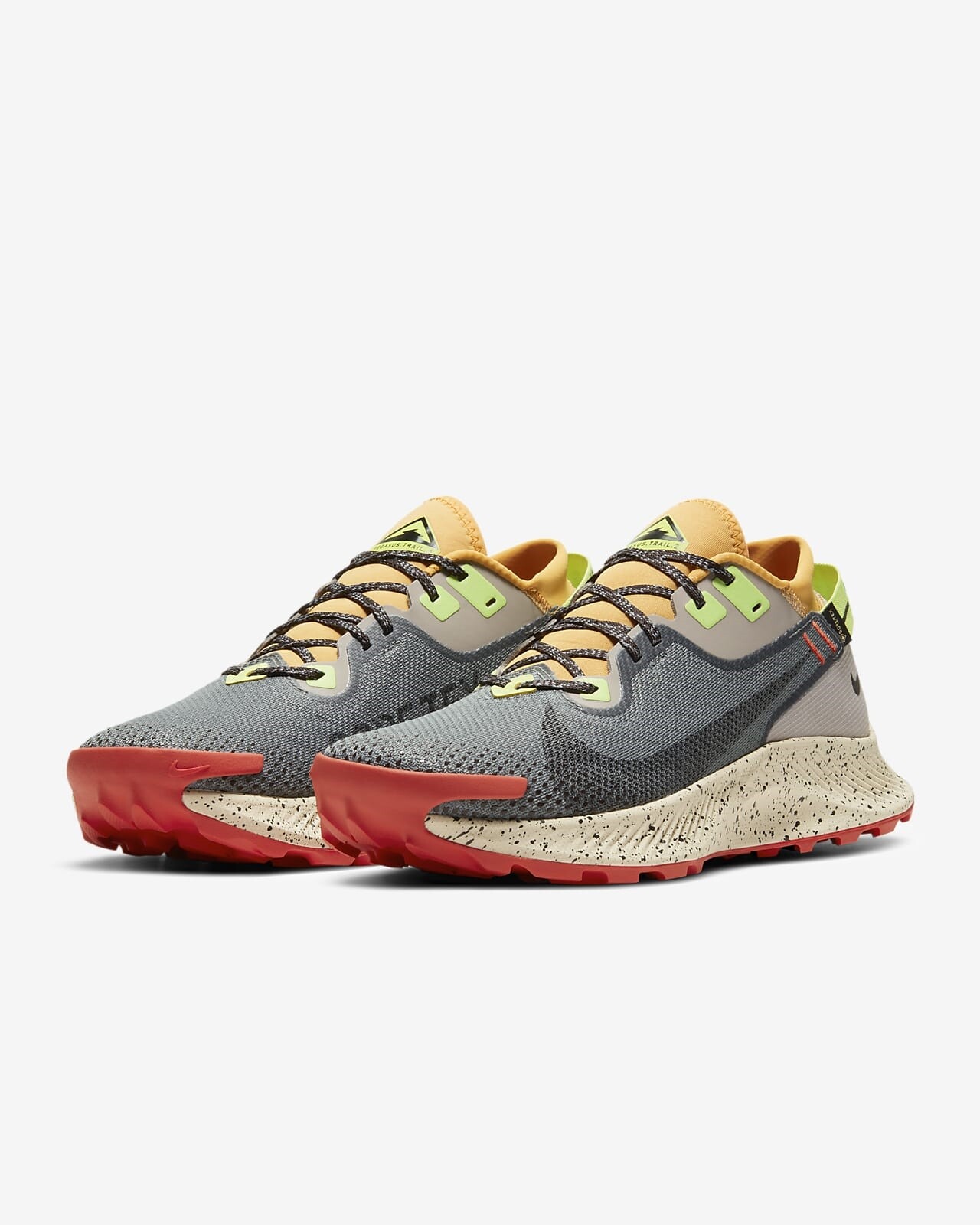 Nike Pegasus Trail 2 GORE-TEX Gray Back 
