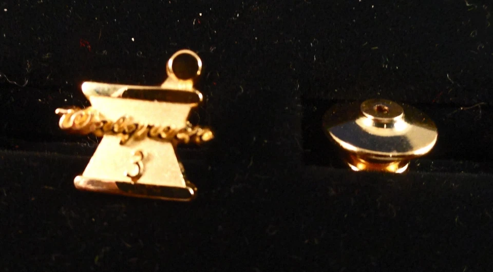 Pin de solapa color dorado: - PREMIO WALGREEN: "3" Foto 3 de 3