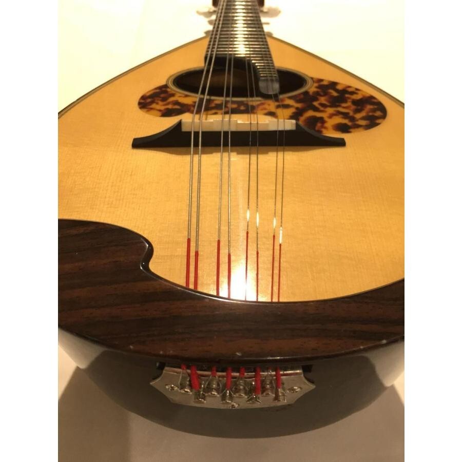 Tsuneo Fujimaru mandolin Anno2005 ikegaku Scale 13.4 in eith Hard