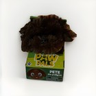 Westminster Paw Pals Pete the Pedigree Dog Brown Realistic Plush Ages 5+ TESTED — photo 1