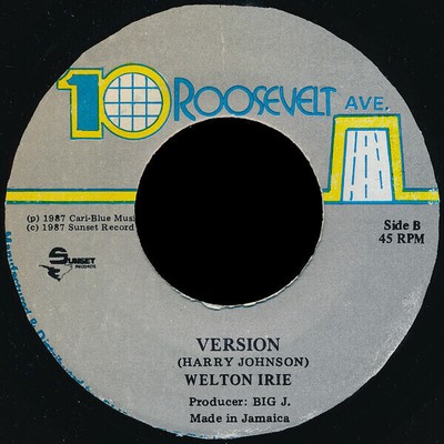 Welton Irie Dont Touch The Crack Vinyl Single 7inch 10 Roosevelt Ave.