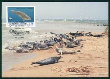 TURKMENISTAN MK WWF FAUNA ROBBEN ROBBE SEAL MAXIMUMKARTE MAXIMUM CARD MC CM gt60