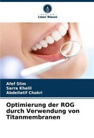 Optimierung Der Rog Durch Verwendung Von Titanmembranen Afef Slim