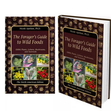 The Forager s Guide to Wild Foods 2021 by Nic...