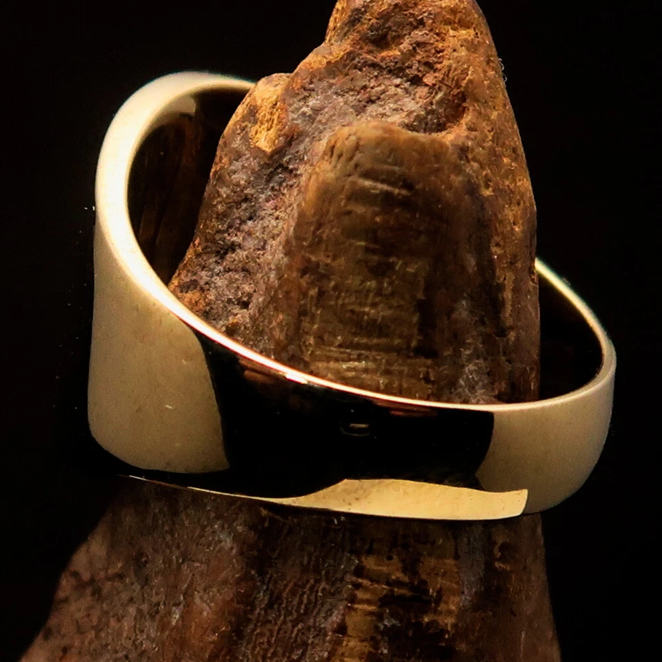 ANILLO DE DISFRAZ COMUNISTA REDONDO DE LATÓN PARA HOMBRE MARTILLO HOZ SELLO NEGRO TALLA 11.5 Foto 4 de 4