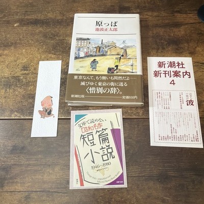 Empty Lot ''Open Field'' Shotaro Ikenami Paperback 1988 Japanese Novel Shinchosha
