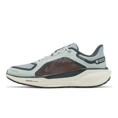 Nike Air Zoom Pegasus 41 GTX Gore-Tex Pumice Burgundy Men Running