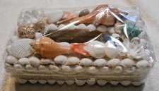 Sea Shell Tissue Box