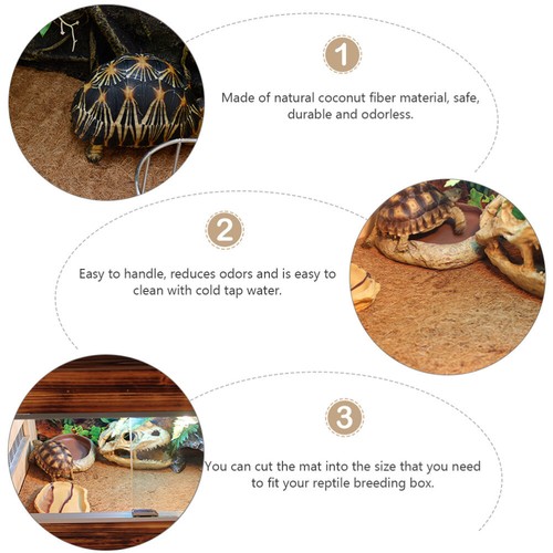 Coconut Palm Bedding Pet Habitat Reptile soldes Tapis De Cocotier En Fibre