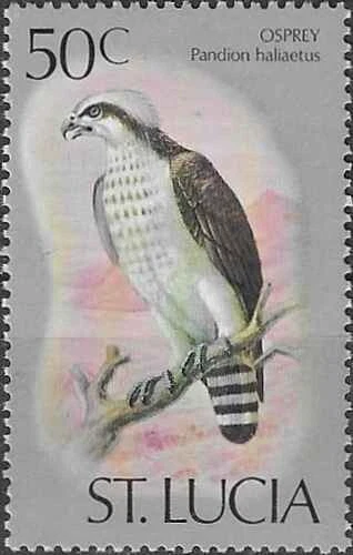 Timbre Oiseaux Ste Lucie 397 ** (72742ER) - Photo 1/1