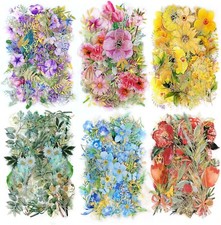 240Pcs Natural Flower Stickers for Scrapbooking,Self-Adhesive Transparent Flower