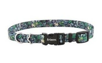 frisco patterned dog collar