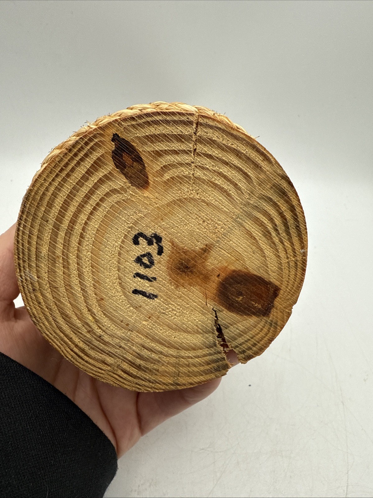 Resin And Wooden Pelican Statue 8.25”