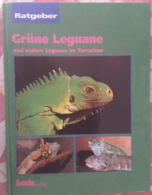 Shelly K. Ferrel -- Grüne Leguane und andere Leguane im Terrarium