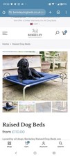 Berkeley Raised Dog Bed XL - Navy + Brand New Spare Cover