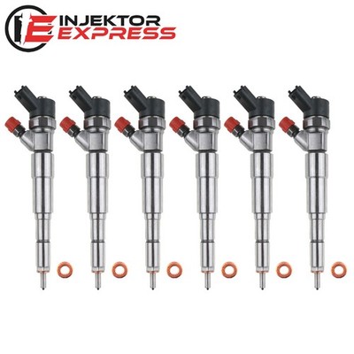 6x 0445110048 Einspritzdüse Injektor BMW 5 E39 Touring 525d 77855985 0986435094