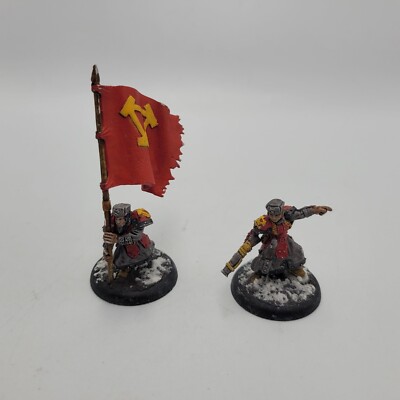 Winter Guard Officer & Standard Bearer [x1] Khador [Warmachine] Painted