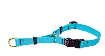 cetacea martingale collar